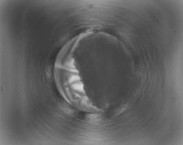 X0000069800139200606091819