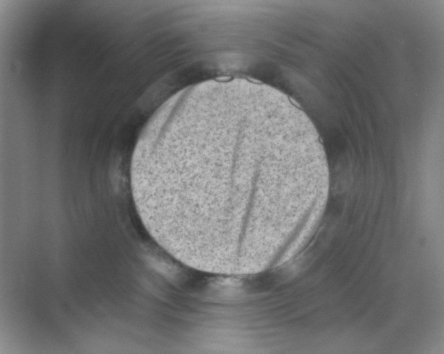 X0000069800140200606091819