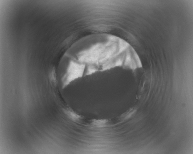 X0000069800143200606091818