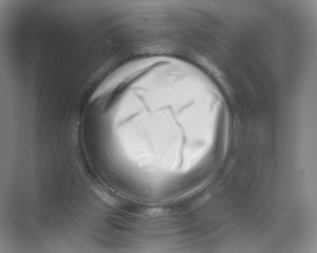 X0000069800153200606091818