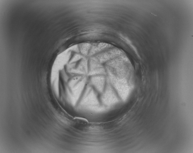 X0000069800154200606091818