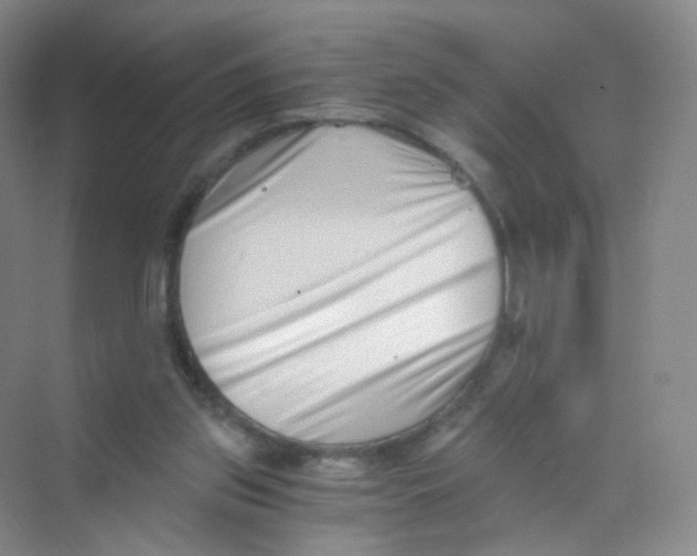 X0000069800157200606091818