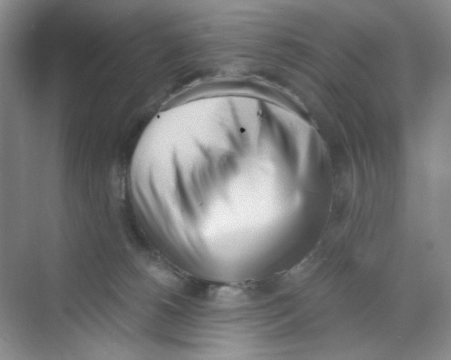 X0000069800180200606091818
