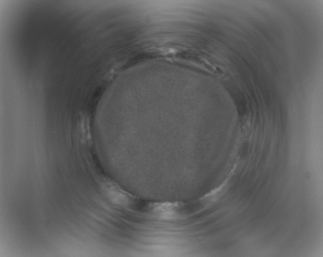X0000069800182200606091818