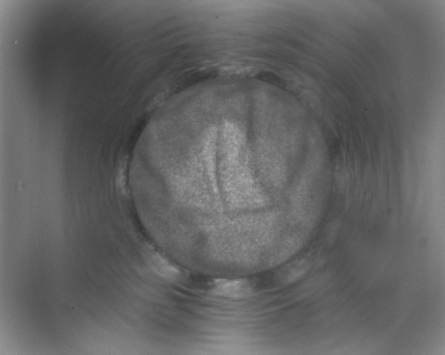 X0000069800185200606091818