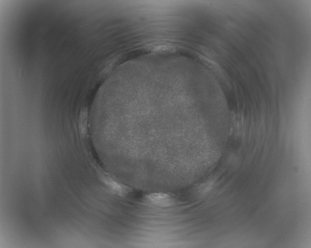 X0000069800189200606091818