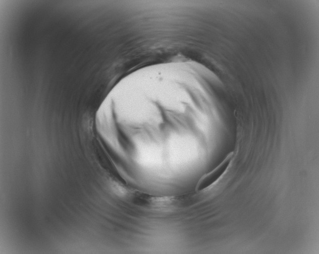 X0000069800192200606091818