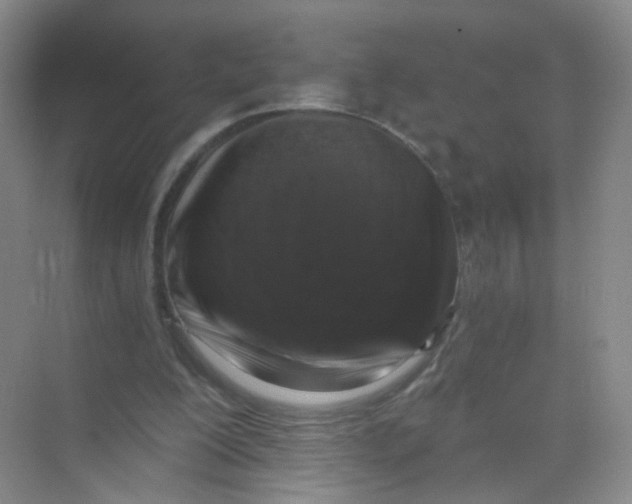 X0000069800200200606091818