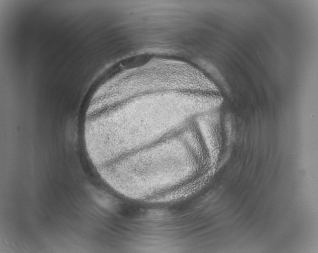 X0000069800204200606091817