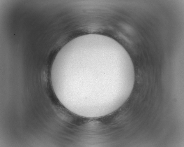 X0000069800210200606091817