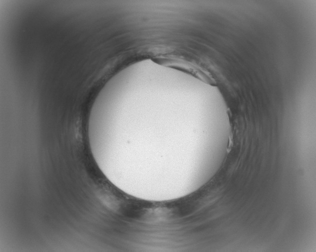 X0000069800212200606091817