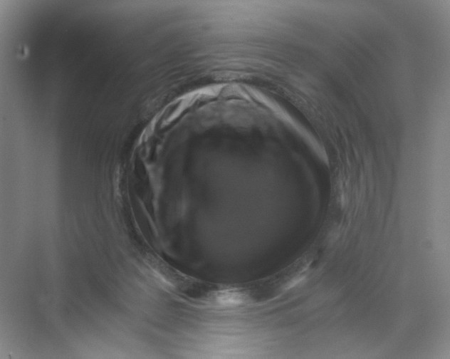 X0000069800219200606091817