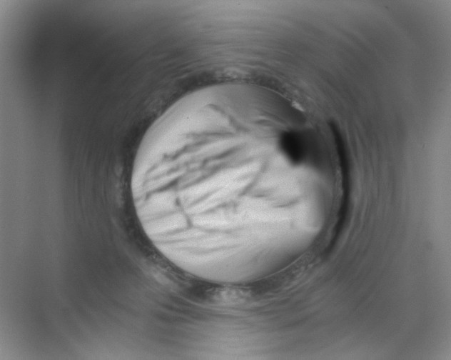 X0000069800223200606091817