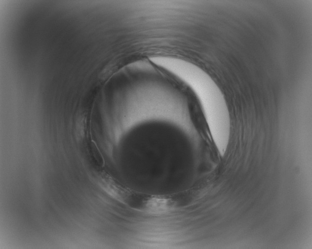 X0000069800227200606091817