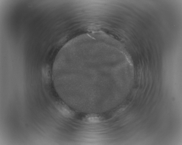 X0000069800228200606091817