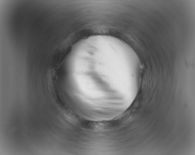 X0000069800229200606091817