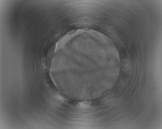 X0000069800232200606091817