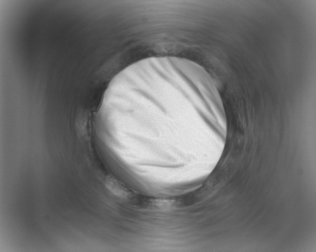 X0000069800233200606091817