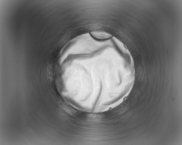 X0000069800234200606091817