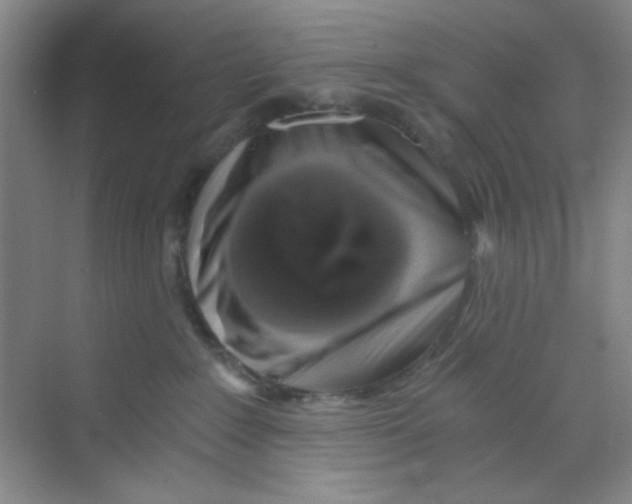 X0000069800235200606091817