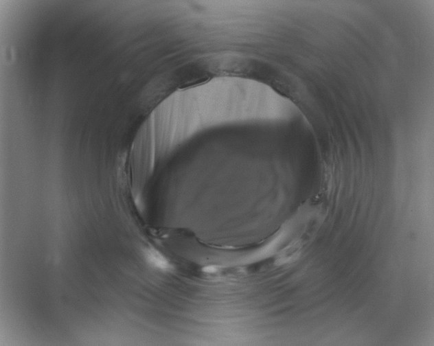 X0000069800239200606091817