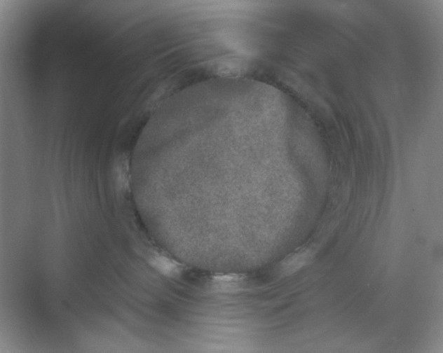 X0000069800240200606091817