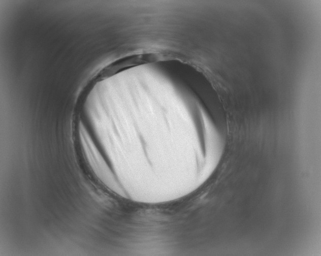 X0000069800244200606091816