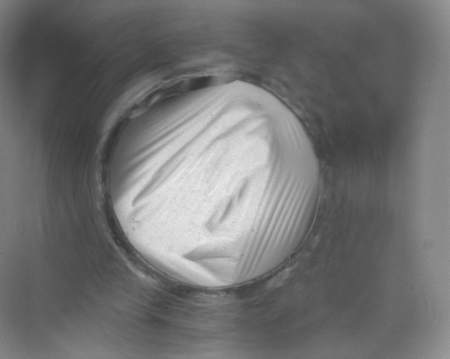 X0000069800245200606091816