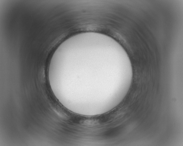 X0000069800251200606091816