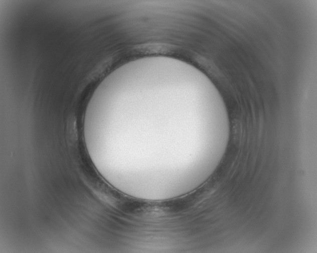 X0000069800254200606091816