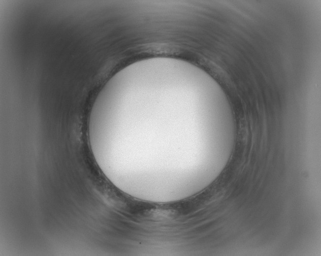 X0000069800255200606091816