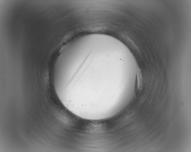 X0000069800260200606091816