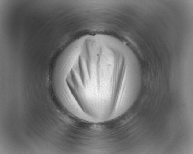 X0000069800261200606091816