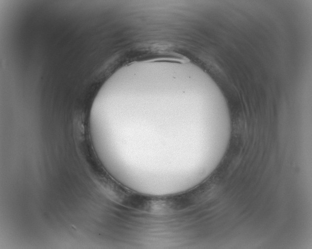 X0000069800264200606091816