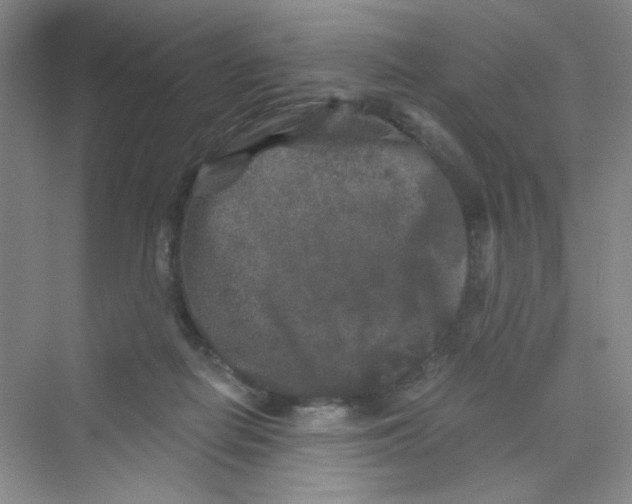 X0000069800266200606091816