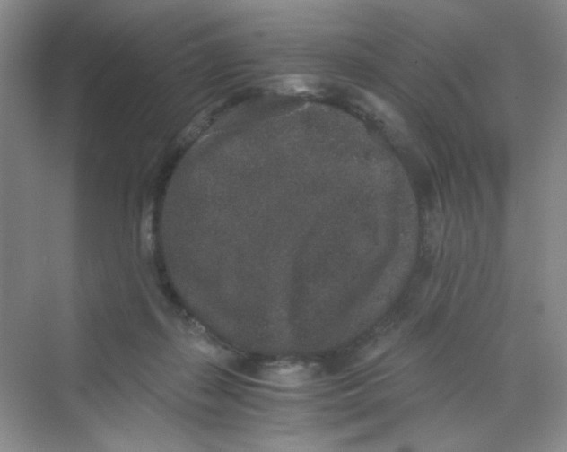 X0000069800267200606091816