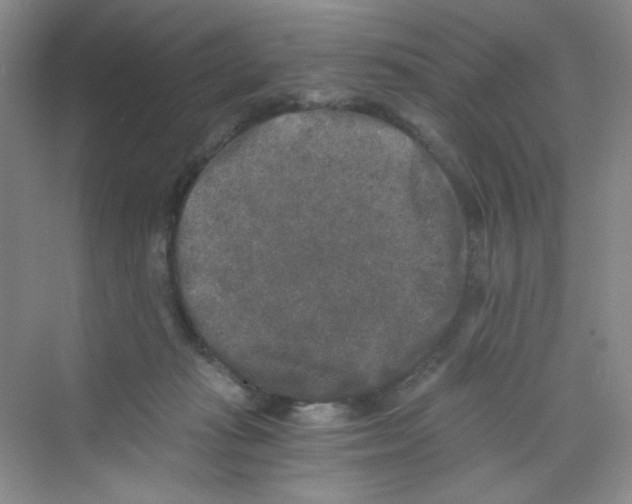 X0000069800269200606091816