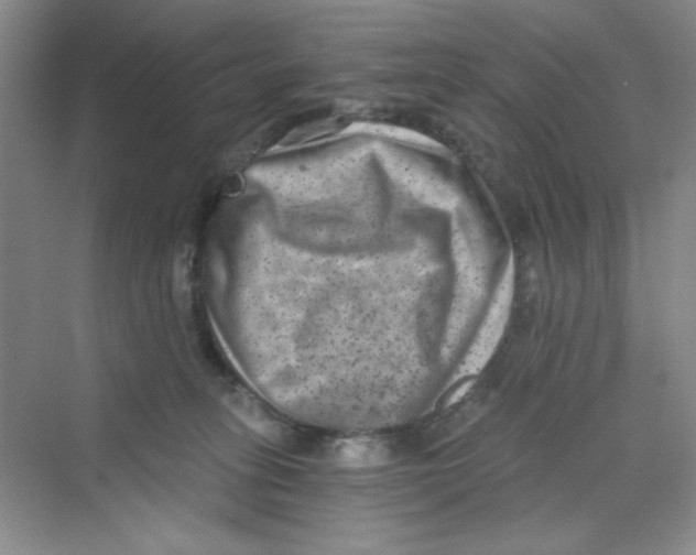 X0000069800275200606091817