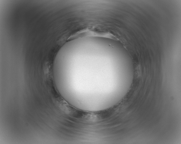 X0000069800276200606091817