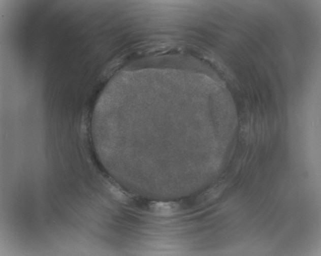 X0000069800277200606091817
