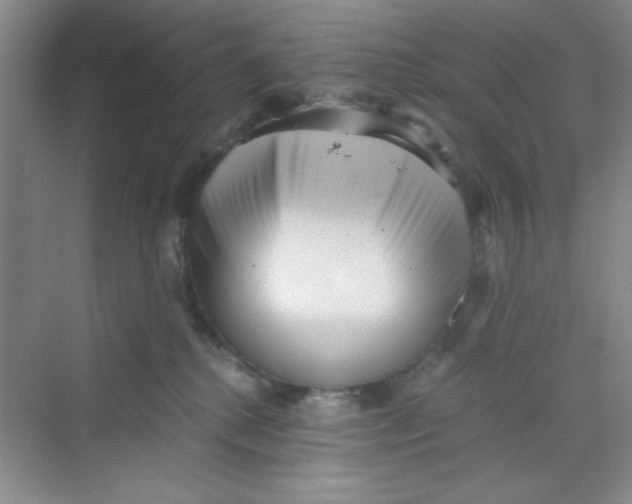 X0000069800280200606091817