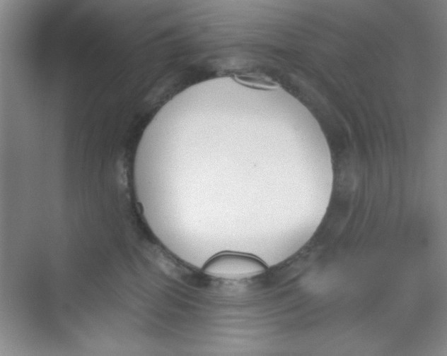 X0000069800282200606091817
