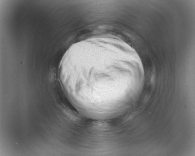 X0000069800284200606091817