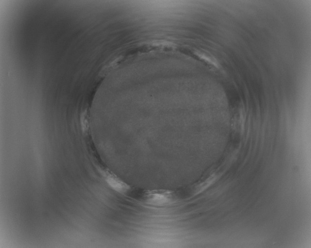 X0000069800285200606091817