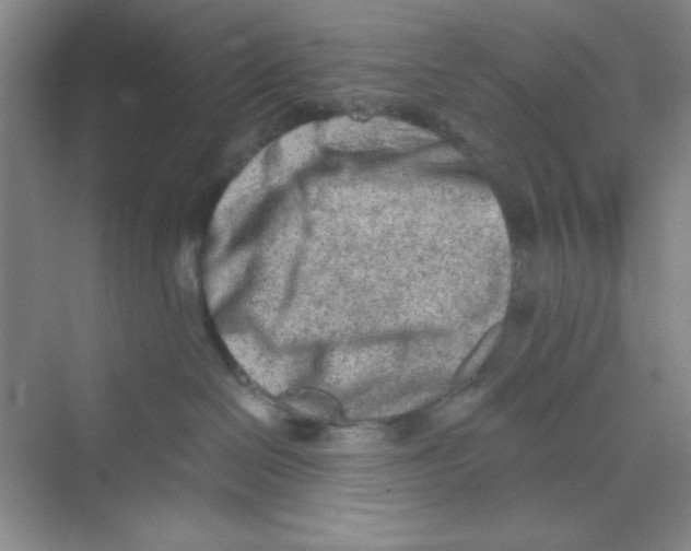 X0000069800286200606091817