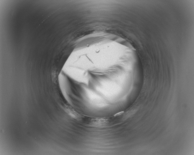 X0000069800288200606091817