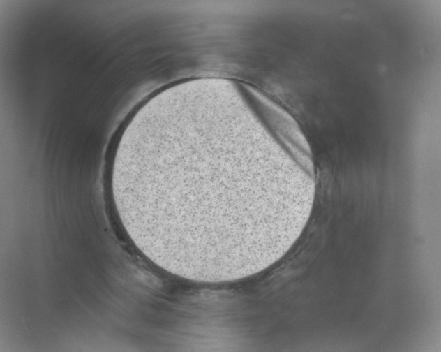 X0000069800292200606091816