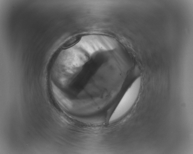 X0000069800295200606091816