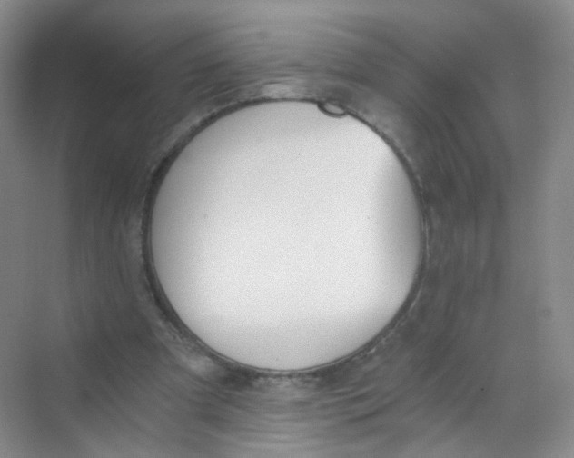 X0000069800297200606091816