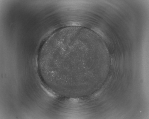 X0000069800302200606091816